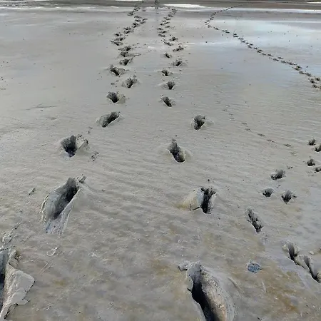 Escapade En Baie 3étoiles *