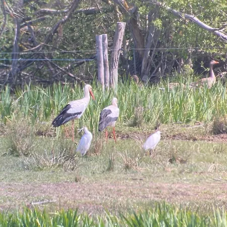 Сasa de vacaciones Escapade En Baie 3étoiles