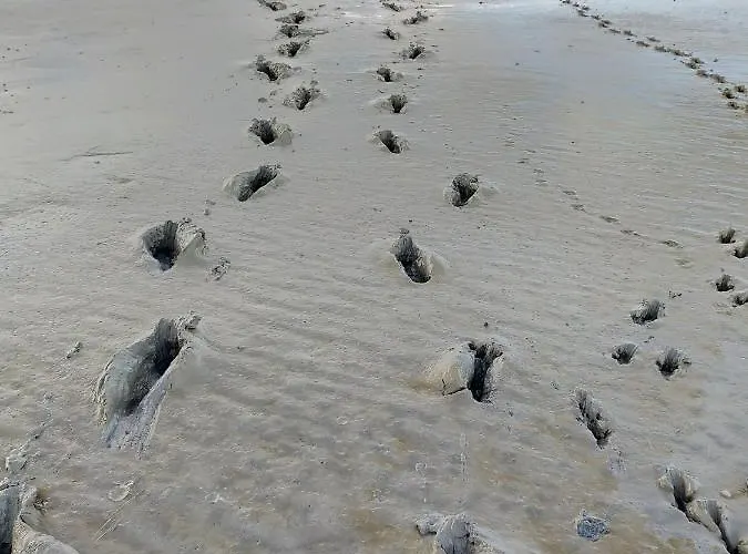 Escapade En Baie 3etoiles *