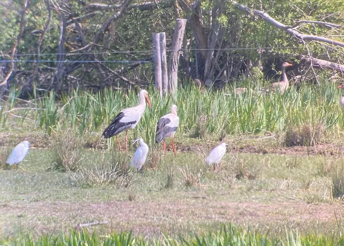 別荘 Escapade En Baie 3etoiles